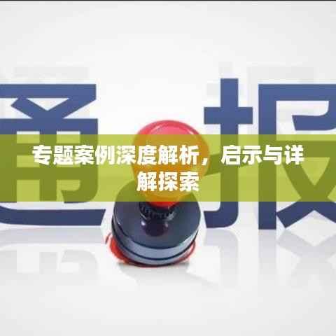 专题案例深度解析,启示与详解探索