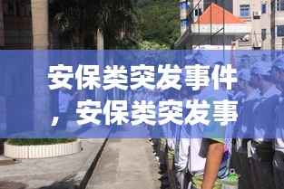 安保类突发事件,安保类突发事件那些