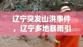 辽宁突发山洪事件，辽宁多地暴雨引发洪水 现场有路面坍塌 