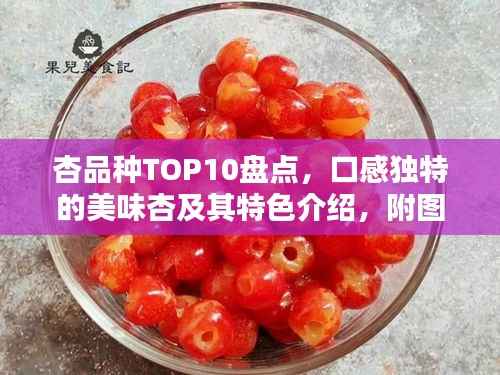 杏品种TOP10盘点,口感独特的美味杏及其特色介绍,附图片全解析