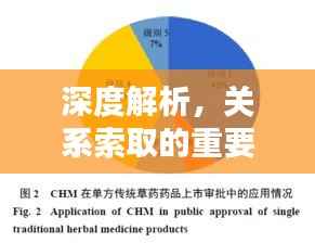 深度解析,关系索取的重要性与价值所在