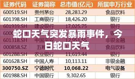 蛇口天气突发暴雨事件,今日蛇口天气