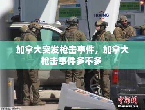加拿大突发枪击事件,加拿大枪击事件多不多