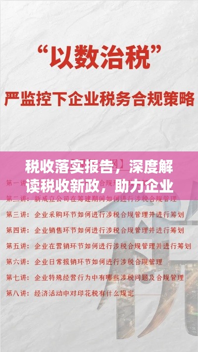 税收落实报告,深度解读税收新政,助力企业合规发展!