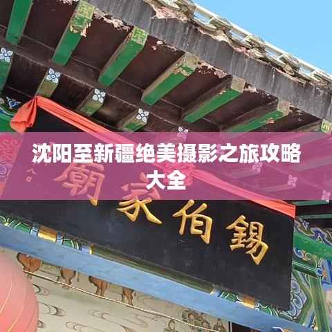 知识产权布局设计中心 第184页
