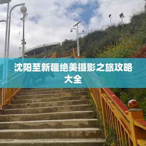 沈阳至新疆绝美摄影之旅攻略大全