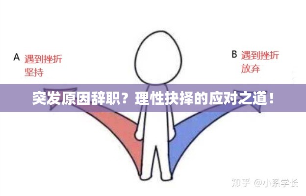 独学寡闻 第3页