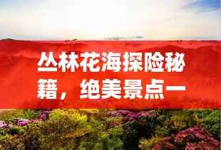 丛林花海探险秘籍,绝美景点一网打尽!