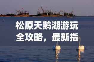 松原天鹅湖游玩全攻略,最新指南来袭!