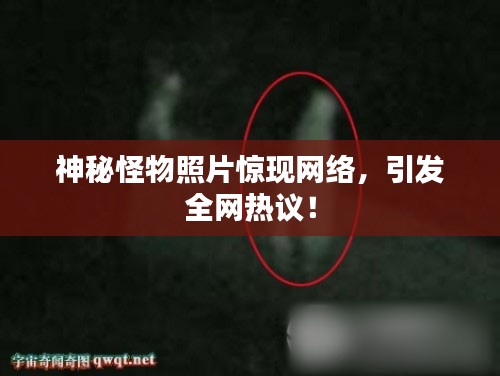 神秘怪物照片惊现网络,引发全网热议!