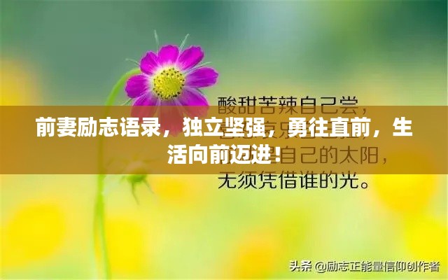 前妻励志语录,独立坚强,勇往直前,生活向前迈进!