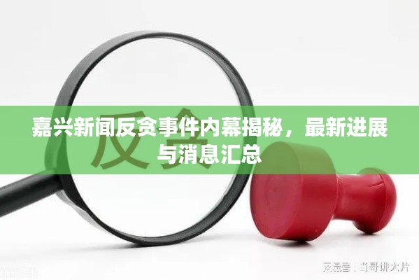 嘉兴新闻反贪事件内幕揭秘,最新进展与消息汇总