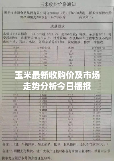 玉米最新收购价及市场走势分析今日播报