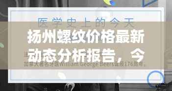 扬州螺纹价格最新动态分析报告,今日市场走势一网打尽