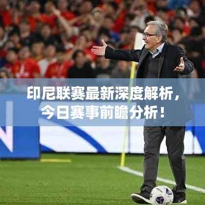 印尼联赛最新深度解析,今日赛事前瞻分析!