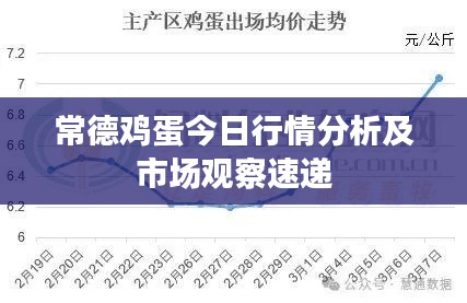 常德鸡蛋今日行情分析及市场观察速递