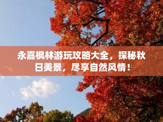 永嘉枫林游玩攻略大全，探秘秋日美景，尽享自然风情！