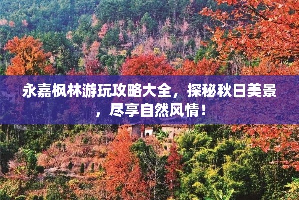 永嘉枫林游玩攻略大全,探秘秋日美景,尽享自然风情!