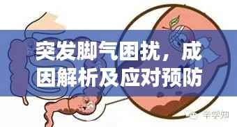 突发脚气困扰,成因解析及应对预防策略