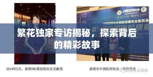 繁花独家专访揭秘，探索背后的精彩故事