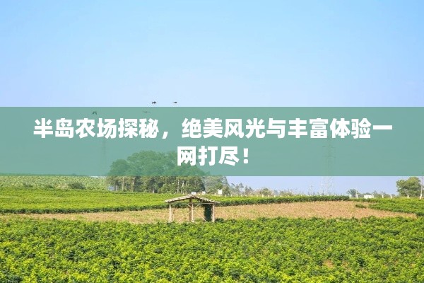 半岛农场探秘,绝美风光与丰富体验一网打尽!