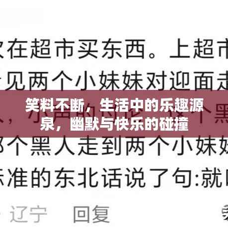 笑料不断，生活中的乐趣源泉，幽默与快乐的碰撞