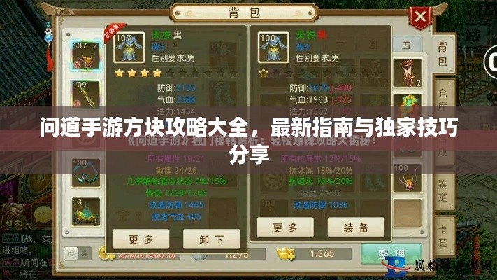 问道手游方块攻略大全,最新指南与独家技巧分享