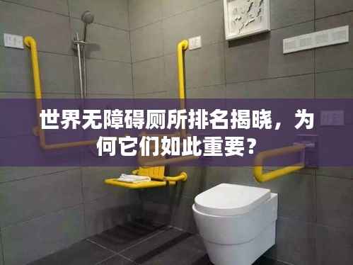世界无障碍厕所排名揭晓,为何它们如此重要?