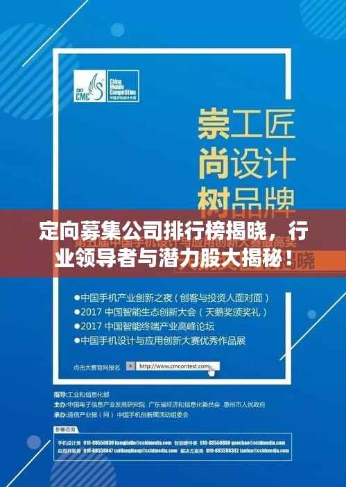 定向募集公司排行榜揭晓,行业领导者与潜力股大揭秘!
