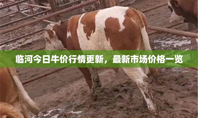 不翼而飞 第3页