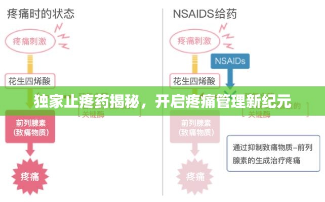 独家止疼药揭秘,开启疼痛管理新纪元