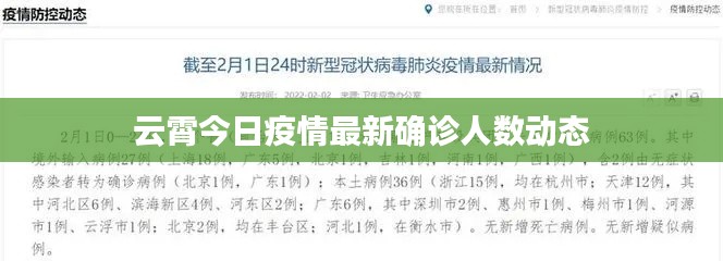 云霄今日疫情最新确诊人数动态