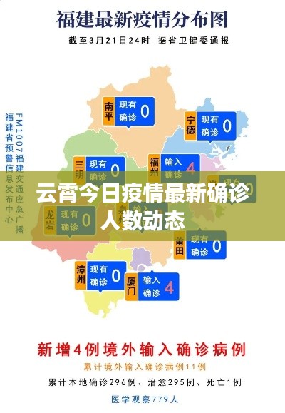 云霄今日疫情最新确诊人数动态