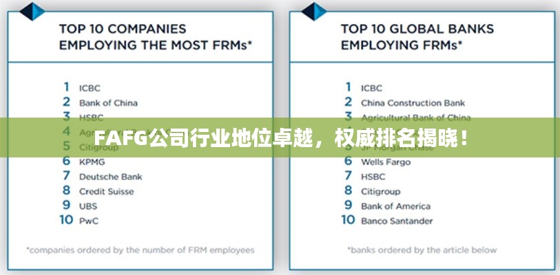 FAFG公司行业地位卓越,权威排名揭晓!