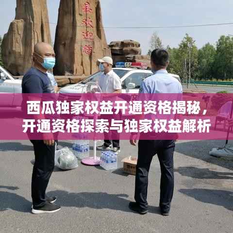 西瓜独家权益开通资格揭秘,开通资格探索与独家权益解析