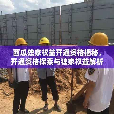 西瓜独家权益开通资格揭秘,开通资格探索与独家权益解析