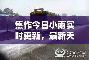 焦作今日小雨实时更新,最新天气动态一网打尽