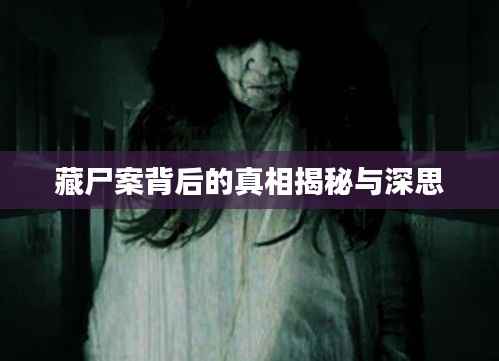 藏尸案背后的真相揭秘与深思