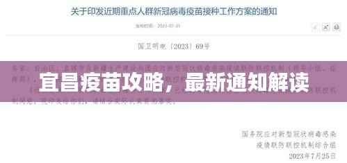 宜昌疫苗攻略,最新通知解读