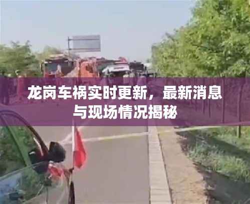 龙岗车祸实时更新,最新消息与现场情况揭秘