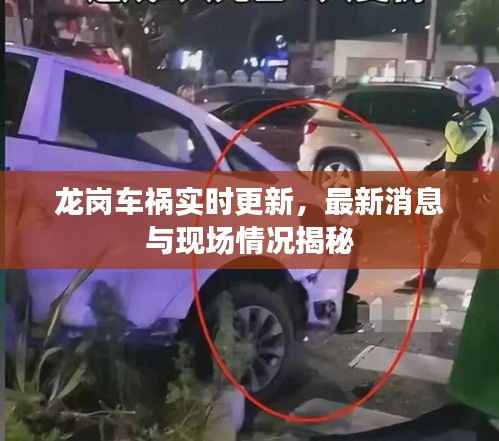 龙岗车祸实时更新,最新消息与现场情况揭秘