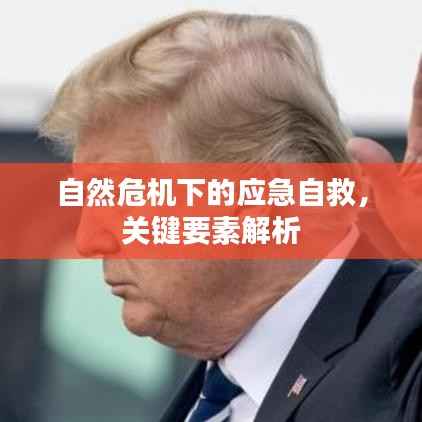 自然危机下的应急自救,关键要素解析