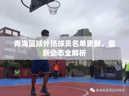 青海篮球外场球员名单更新,最新动态全解析