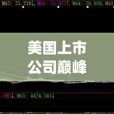 美国上市公司巅峰之战揭秘,业绩排名背后的成功奥秘探索