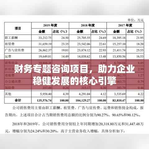 财务专题咨询项目,助力企业稳健发展的核心引擎