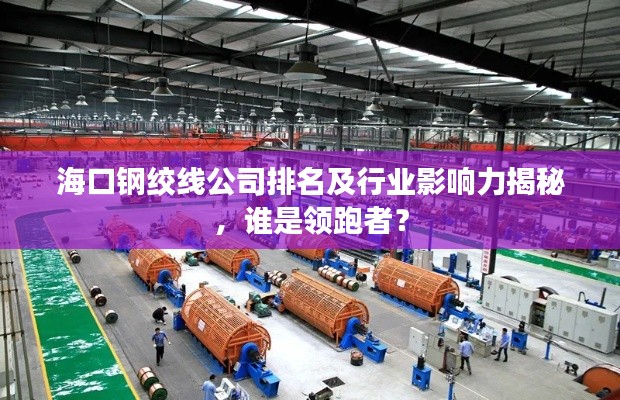 海口钢绞线公司排名及行业影响力揭秘,谁是领跑者?