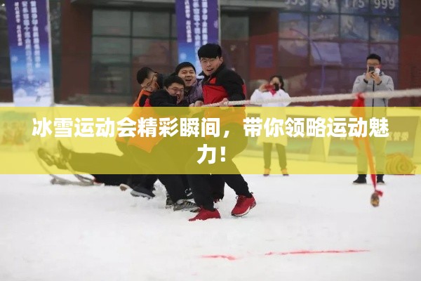 冰雪运动会精彩瞬间,带你领略运动魅力!