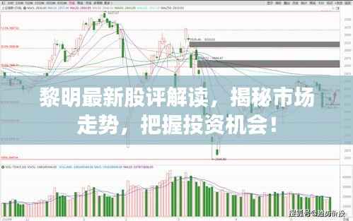 黎明最新股评解读,揭秘市场走势,把握投资机会!