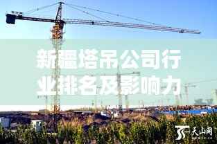新疆塔吊公司行业排名及影响力解析