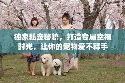 独家私宠秘籍,打造专属幸福时光,让你的宠物爱不释手
